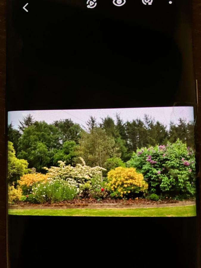 Hares Hideaway At Coed Moelfa Bed & Breakfast Corwen Luaran gambar